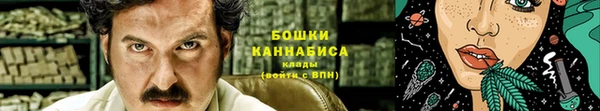 СК Бородино